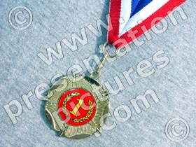 achievement medal - powerpoint graphics