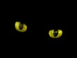 cats eyes - powerpoint graphics