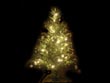 christmas tree - powerpoint graphics