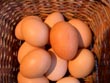eggs in one basket - powerpoint graphics