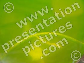green liquid - powerpoint images