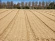 ploughed field - powerpoint pictures
