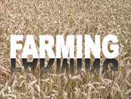 farming - powerpoint graphics